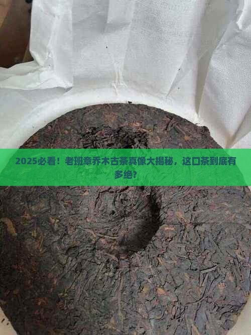 周记老班章乔木古茶