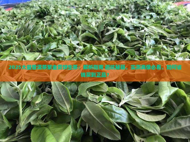 大益普洱茶紫金贡饼生茶