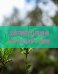 马邓茶的口感特点