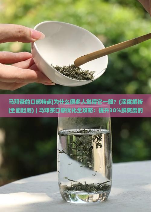 马邓茶的口感特点