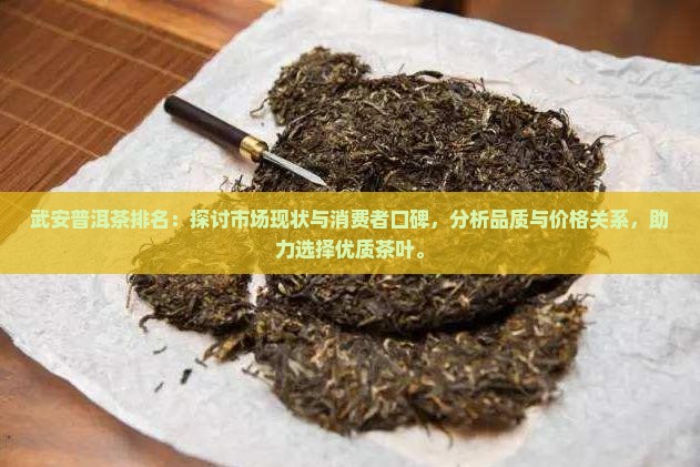 武安普洱茶排名