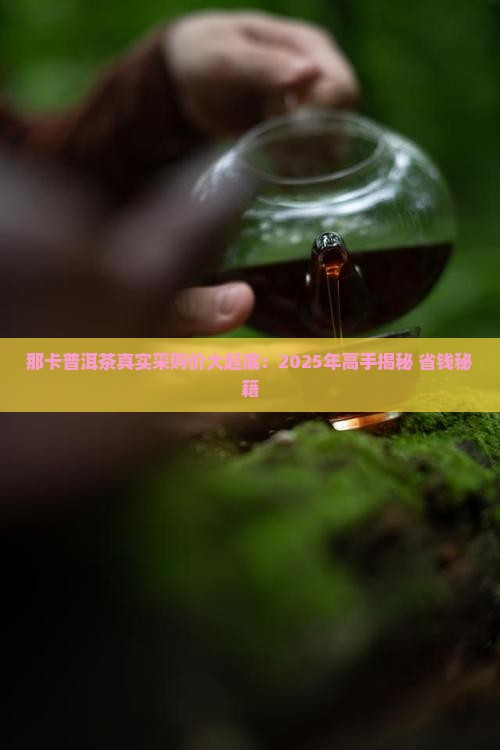 那卡普洱茶采购价格多少钱