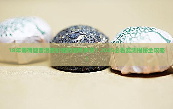 18年薄荷塘普洱茶价格