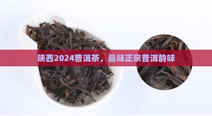 陕西2024普洱茶