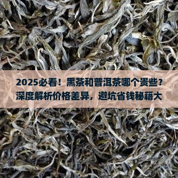 黑茶和普洱茶哪个贵些