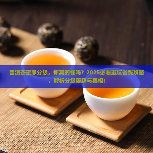 普洱茶玩家分级