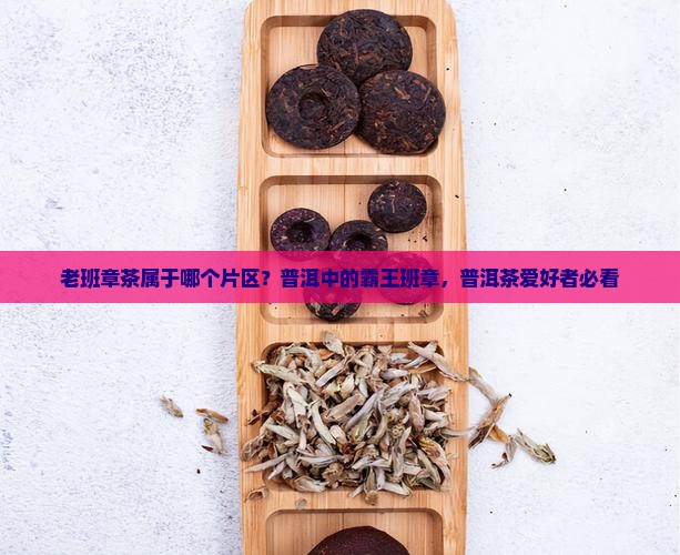 老班章茶属于哪个片区