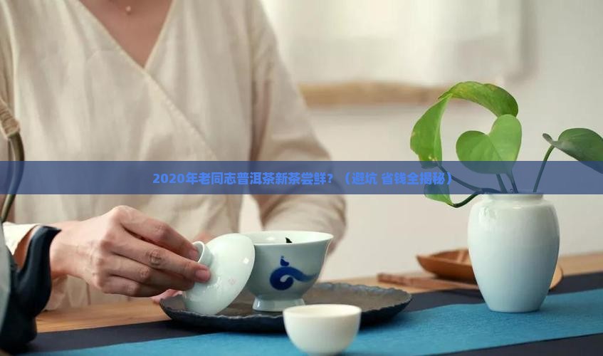 2020年老同志普洱茶新茶