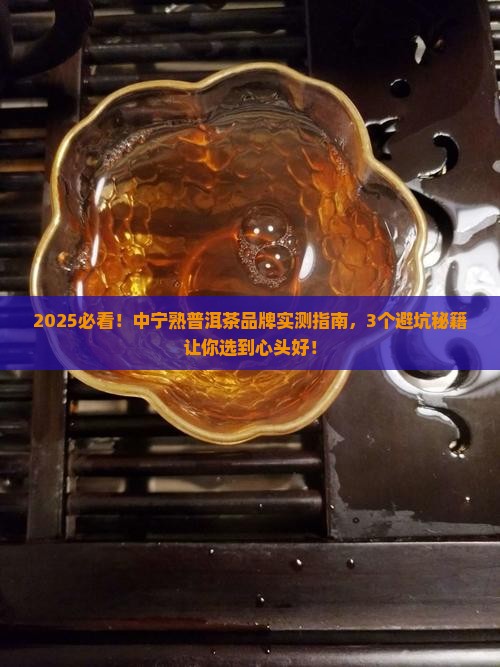 中宁熟普洱茶品牌