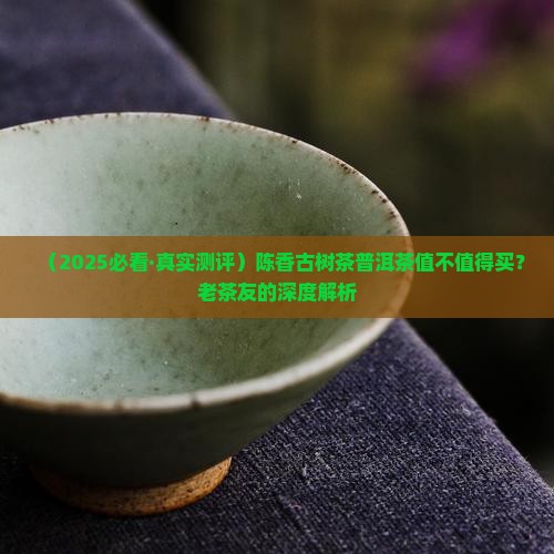 陈香古树茶普洱茶