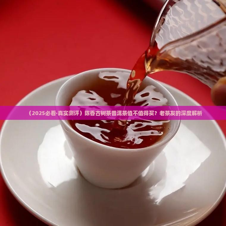 陈香古树茶普洱茶