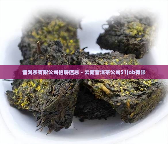 普洱茶51job
