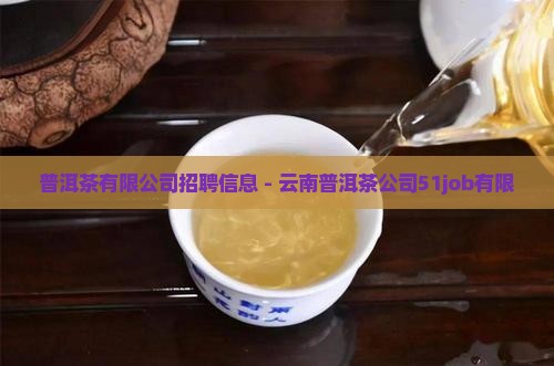 普洱茶51job