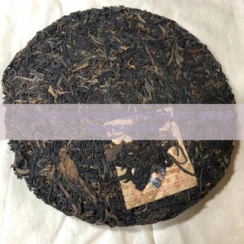 从哪里能买到正宗普洱茶呢