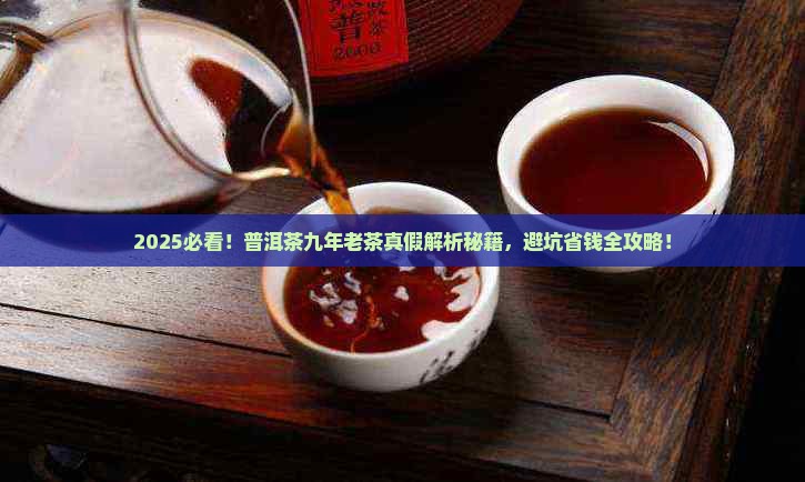 九年普洱茶怎么辨别真假