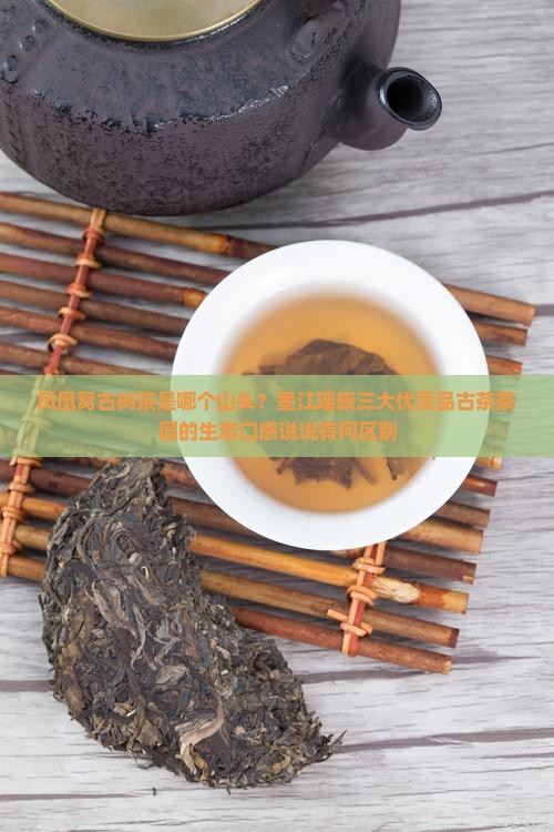 凤凰窝古树茶是哪个山头