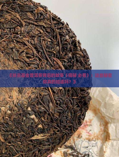 扶贫基金普洱茶