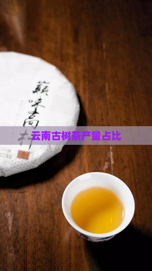 云南古树茶产量占比
