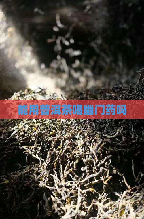 能用普洱茶喝幽门药吗
