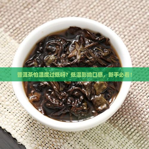 普洱茶怕温度过低吗