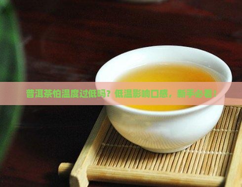 普洱茶怕温度过低吗
