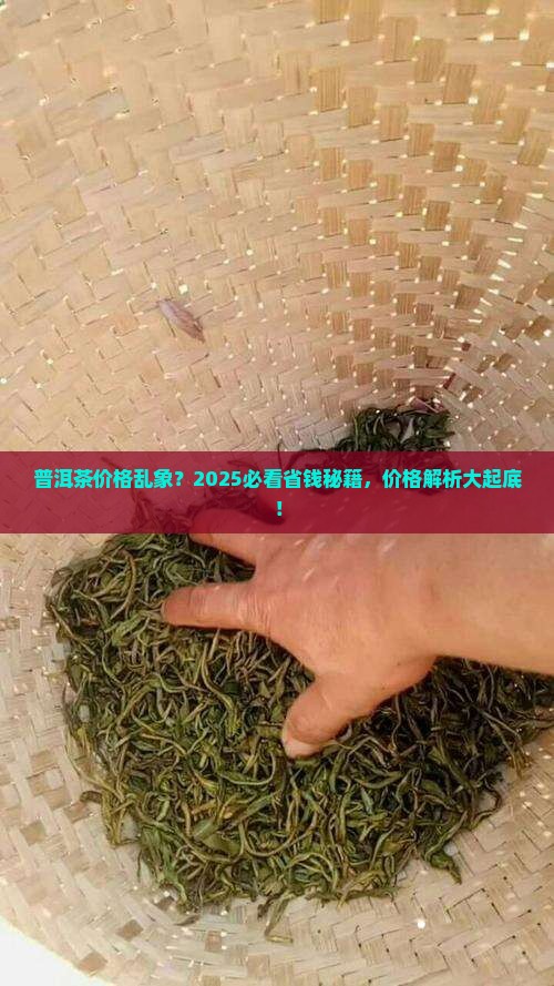 普洱茶价格查询app