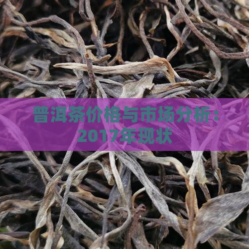 2017年普洱茶现状怎样