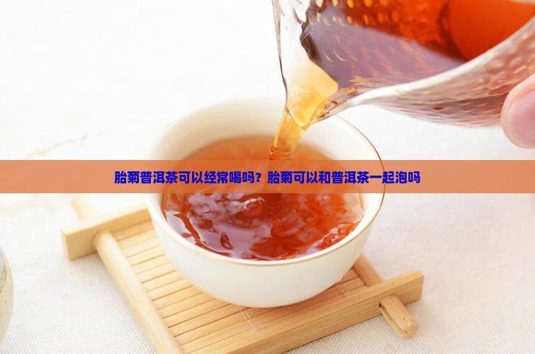 胎菊普洱茶可以经常喝吗