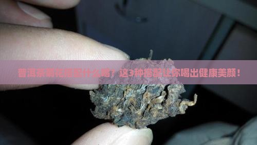 普洱茶菊花搭配什么喝