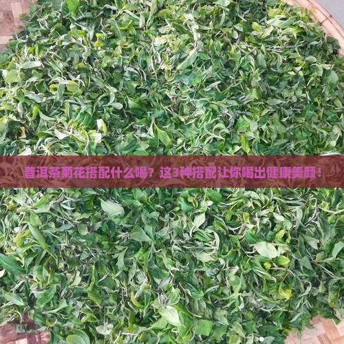 普洱茶菊花搭配什么喝