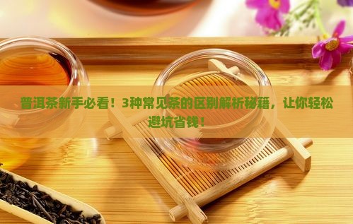 普洱茶几种茶区别