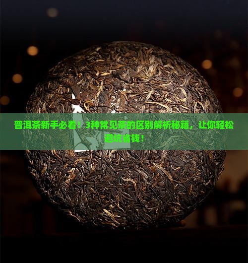 普洱茶几种茶区别