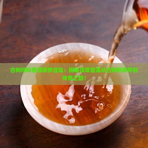 古树纯料普洱茶供应链