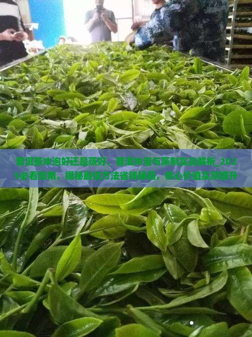 普洱茶冲泡好还是蒸好