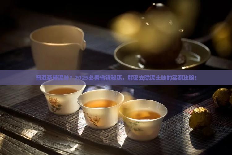 普洱茶有泥土味怎么办 普洱茶有泥土味怎么办