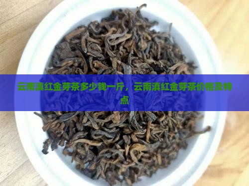 云南滇红金芽茶多少钱一斤