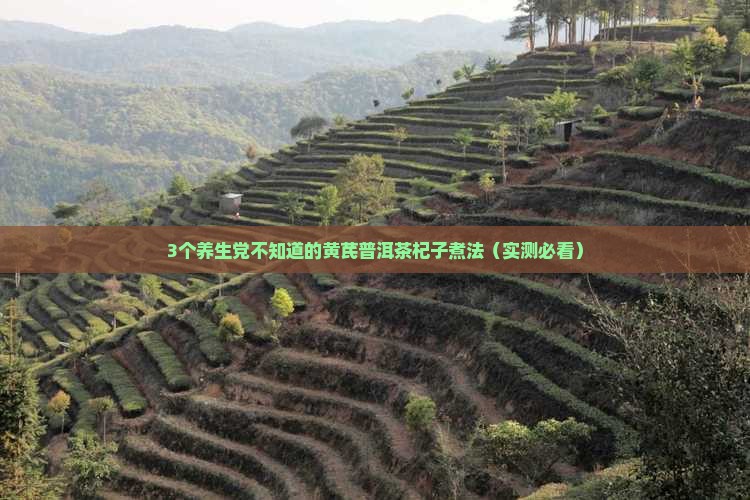 黄芪普洱茶杞子一起煮