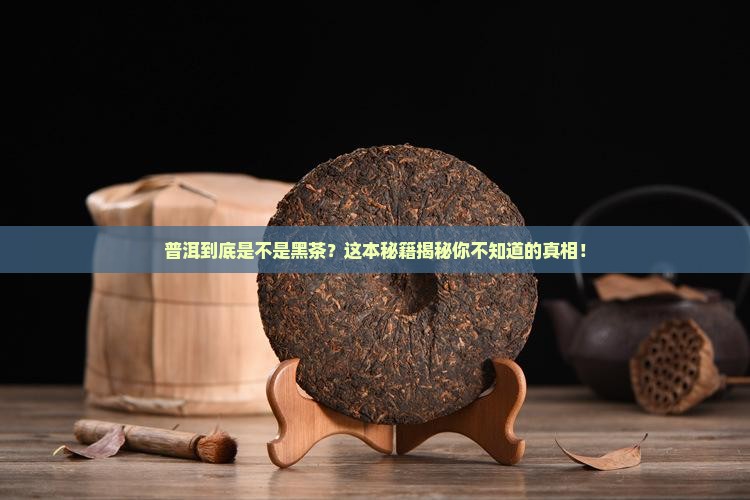 普洱属于黑茶吗几类