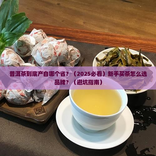 普洱茶主产于哪个省普洱茶买品牌