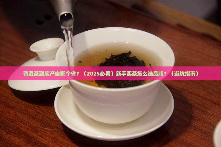 普洱茶主产于哪个省普洱茶买品牌