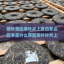 茶叶泡出来叶片上发白