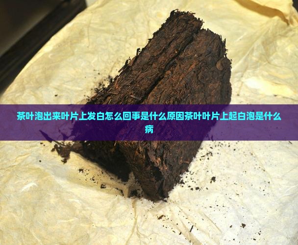 茶叶泡出来叶片上发白