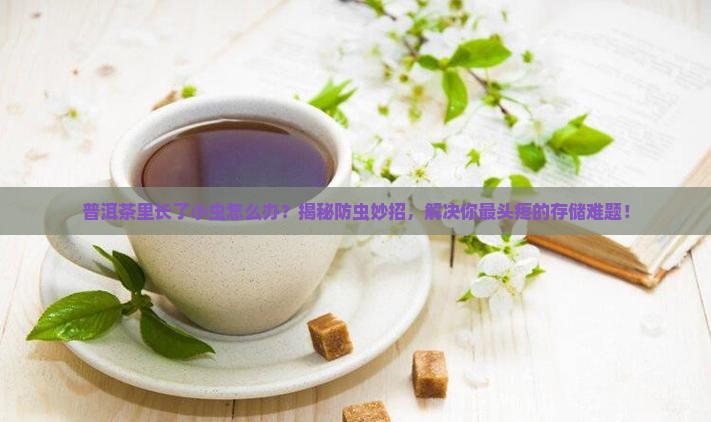 普洱茶里面长了小虫怎么办