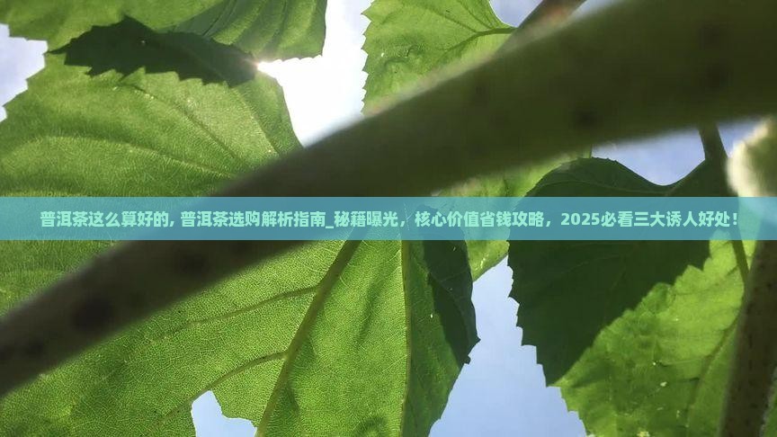 普洱茶这么算好的