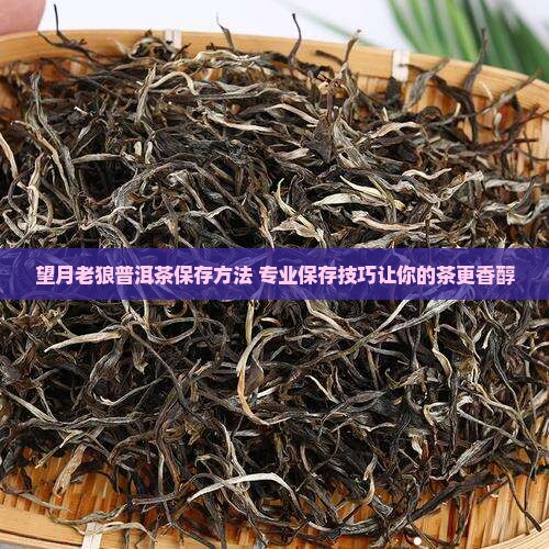 望月老狼普洱茶保存 望月老狼普洱茶保存