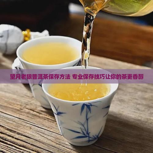 望月老狼普洱茶保存 望月老狼普洱茶保存