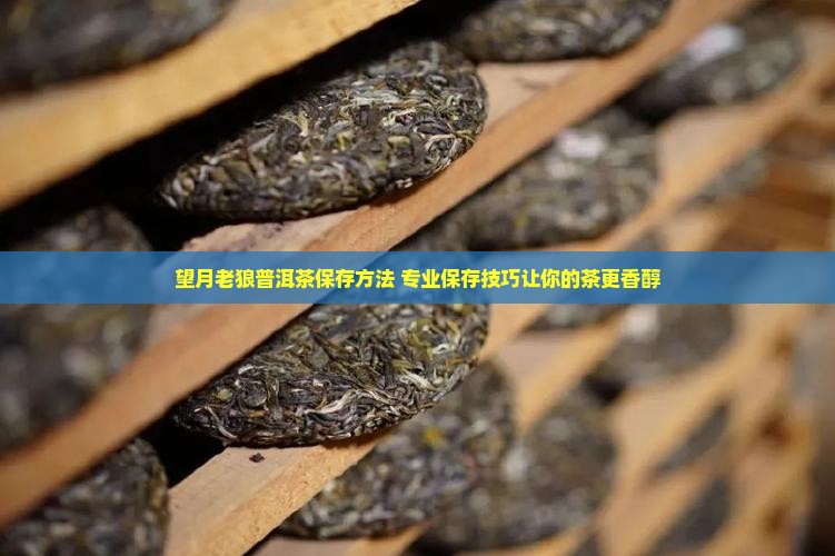 望月老狼普洱茶保存 望月老狼普洱茶保存