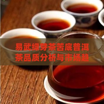 易武绿芽茶苦底