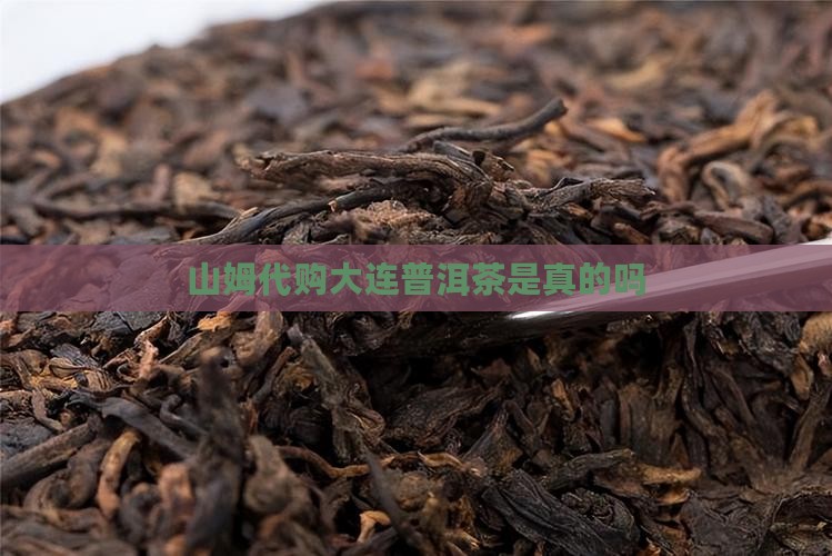 山姆代购大连普洱茶是真的吗
