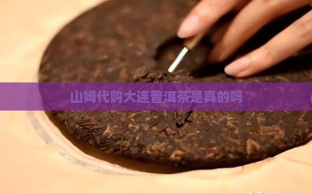 山姆代购大连普洱茶是真的吗